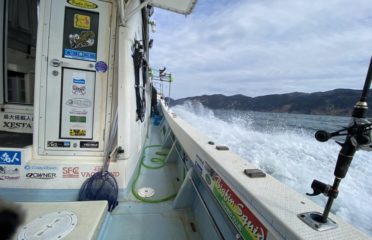 福井（敦賀）の釣り船：ビッグフィンスクイッド