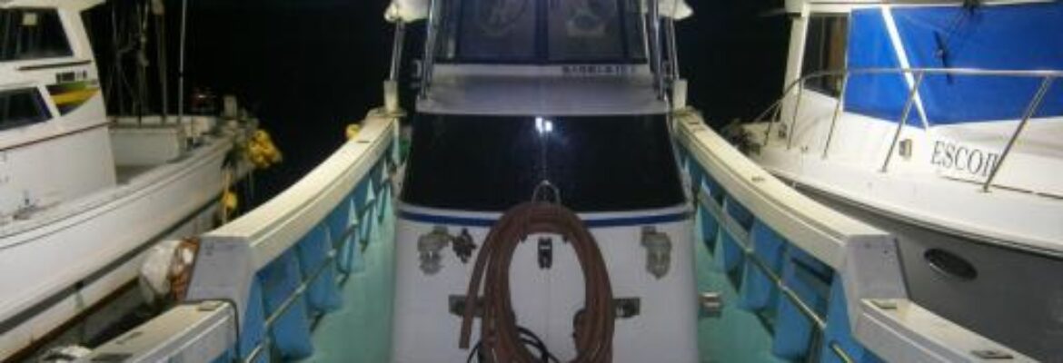 福岡県（福岡）の釣り船：海皇丸