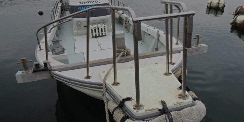 愛媛県（松山）の釣り船：まこと遊漁
