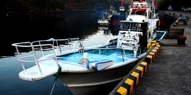 長崎県（対馬）の釣り船：春漁丸