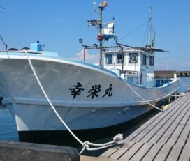 富山県（黒部）の釣り船：幸栄丸