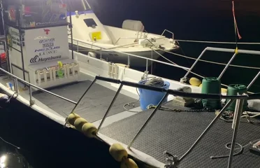 鹿児島県（錦江湾）の釣り船：Crazy Fish