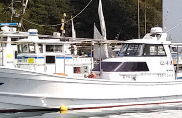 徳島県（鳴門）の釣り船：海誠