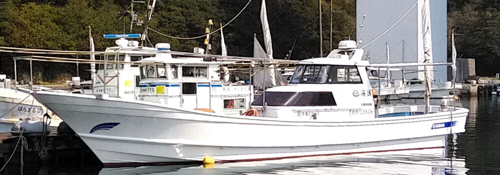 徳島県（鳴門）の釣り船：海誠