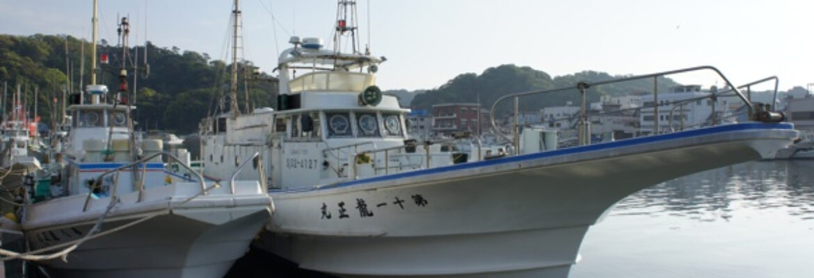 静岡県（下田）の釣り船：龍正丸