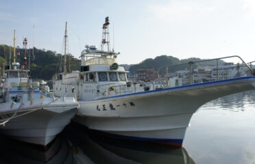 静岡県（下田）の釣り船：龍正丸