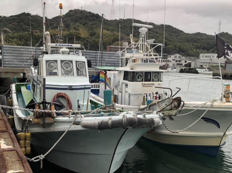 徳島県（阿南）の釣り船：清和丸