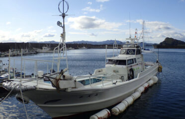 徳島県（阿南）の釣り船： 水天丸