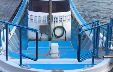 高知県（高知）の釣り船：ブルーウィン 海人丸