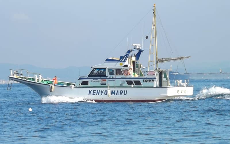神奈川県（横須賀）の釣り船：健洋丸