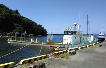 静岡県（賀茂）の釣り船：なごみ丸