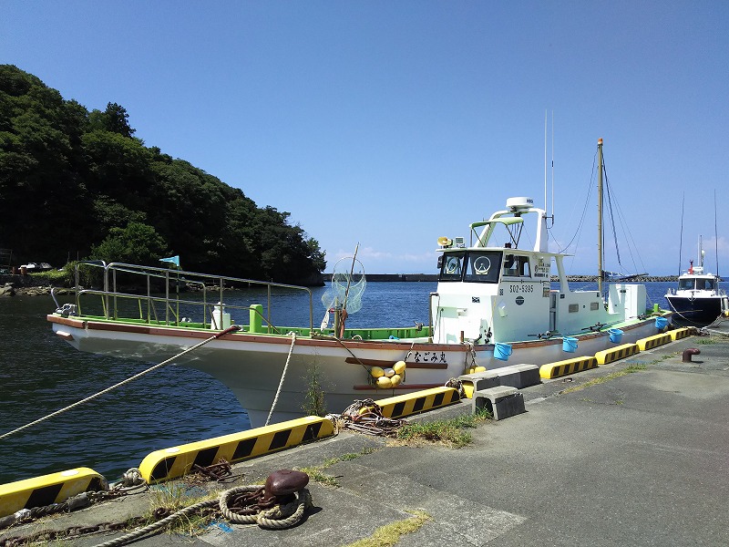 静岡県（賀茂）の釣り船：なごみ丸