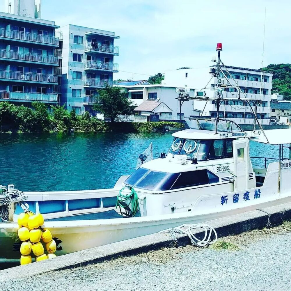 島根県（浜田）の釣り船：新留渡船